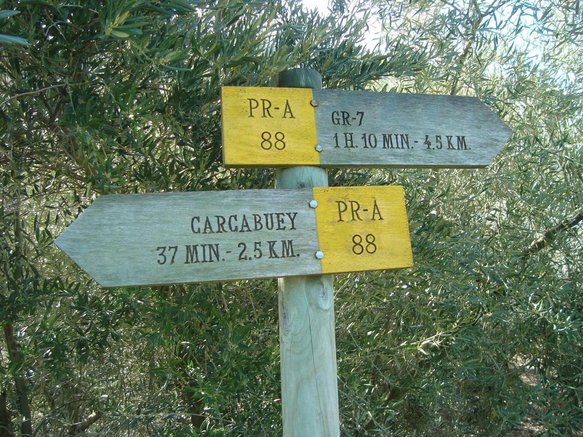 Villa Casilla Dalea En Carcabuey, Descubre El Interior De Andalucia Extérieur photo